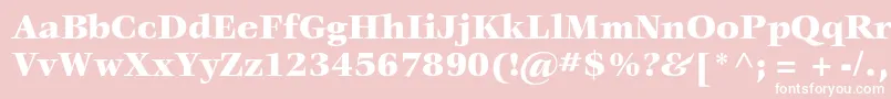 VeljovicstdBlack Font – White Fonts on Pink Background