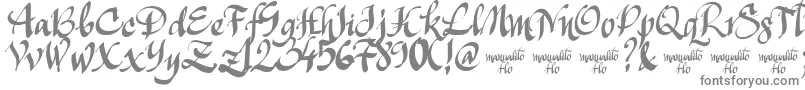 Czcionka ManualitoFlo – szare czcionki