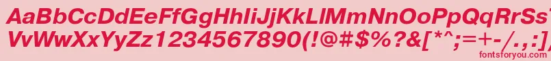 PragmaticacBolditalic Font – Red Fonts on Pink Background