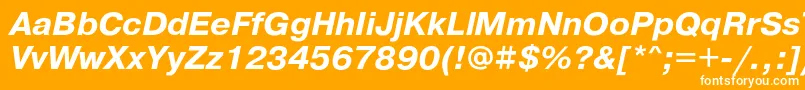 PragmaticacBolditalic Font – White Fonts on Orange Background