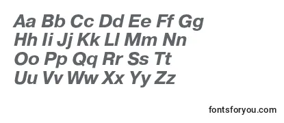 PragmaticacBolditalic Font