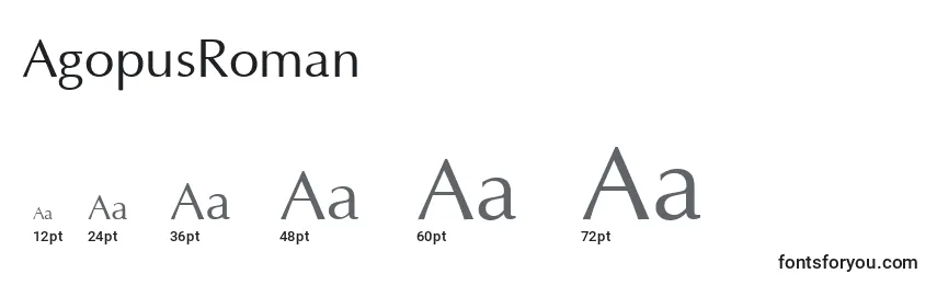 AgopusRoman Font Sizes