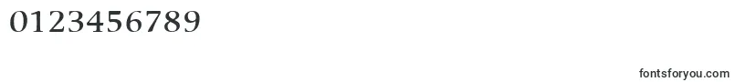 ItcCerigoLtMedium Font – Fonts for Numbers and Digits