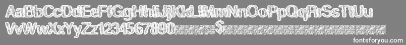Tastyswirl Font – White Fonts on Gray Background