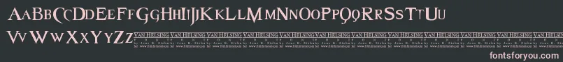 Van Font – Pink Fonts on Black Background