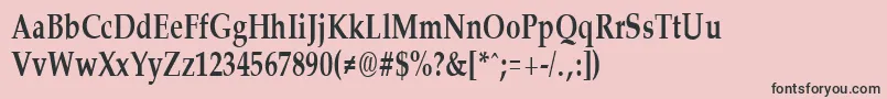 PalisadecondensedBold Font – Black Fonts on Pink Background