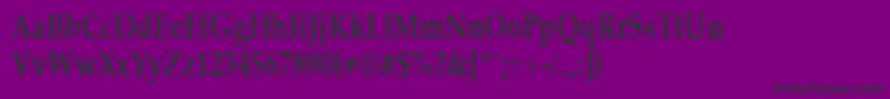 PalisadecondensedBold-Schriftart – Schwarze Schriften auf violettem Hintergrund