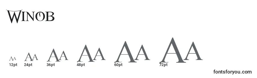 Größen der Schriftart Winob