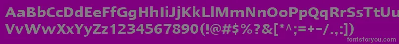 Шрифт LinotypeErgoDemiBold – серые шрифты на фиолетовом фоне
