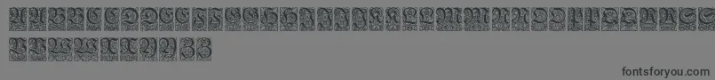 Ungerfrakturzierbuchstaben Font – Black Fonts on Gray Background