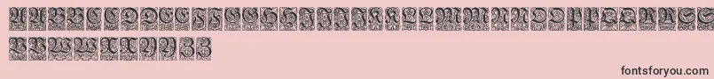 Ungerfrakturzierbuchstaben Font – Black Fonts on Pink Background