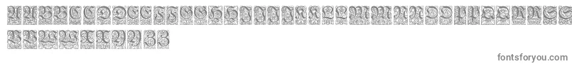 Ungerfrakturzierbuchstaben Font – Gray Fonts on White Background