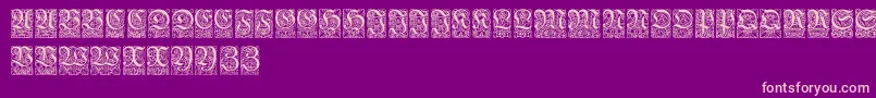 Ungerfrakturzierbuchstaben Font – Pink Fonts on Purple Background