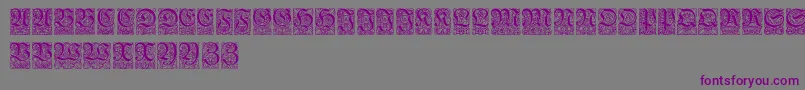 Ungerfrakturzierbuchstaben Font – Purple Fonts on Gray Background