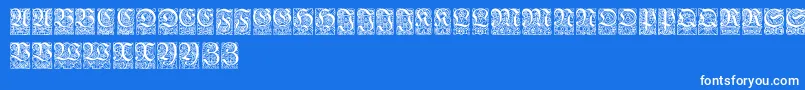 Ungerfrakturzierbuchstaben Font – White Fonts on Blue Background