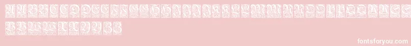 Ungerfrakturzierbuchstaben Font – White Fonts on Pink Background