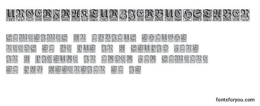 Обзор шрифта Ungerfrakturzierbuchstaben
