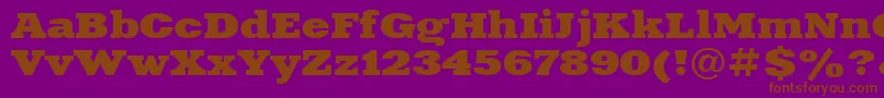 Fonte XeniaextendedcttBold – fontes marrons em um fundo roxo