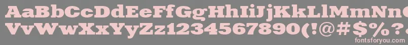 XeniaextendedcttBold Font – Pink Fonts on Gray Background