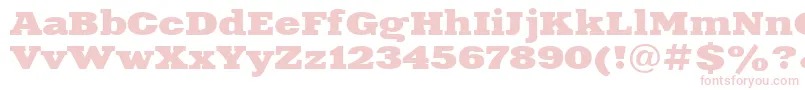 XeniaextendedcttBold Font – Pink Fonts