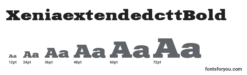 XeniaextendedcttBold Font Sizes