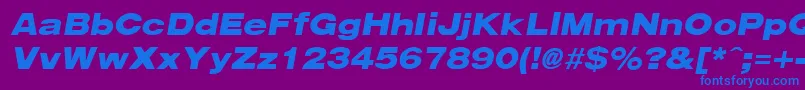 フォントArenaBlackExtendedItalic – 紫色の背景に青い文字