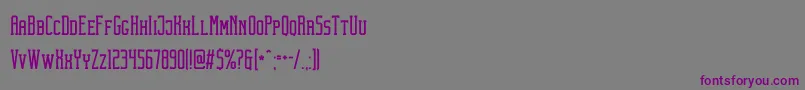 TheobaldClean Font – Purple Fonts on Gray Background