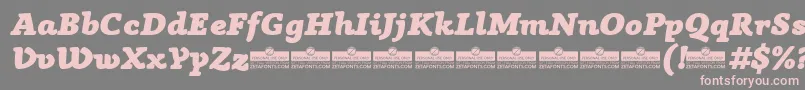 AnaphoraFatItalicTrial Font – Pink Fonts on Gray Background