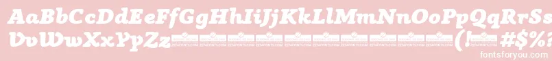 AnaphoraFatItalicTrial Font – White Fonts on Pink Background