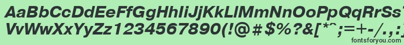 PragmaticaBolditalicCyrillic Font – Black Fonts on Green Background