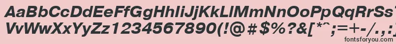 PragmaticaBolditalicCyrillic Font – Black Fonts on Pink Background