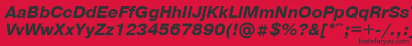 PragmaticaBolditalicCyrillic Font – Black Fonts on Red Background