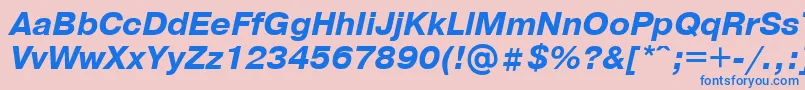 PragmaticaBolditalicCyrillic Font – Blue Fonts on Pink Background