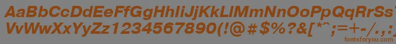 Czcionka PragmaticaBolditalicCyrillic – brązowe czcionki na szarym tle