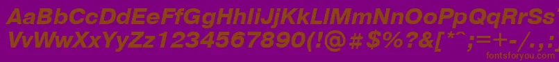 PragmaticaBolditalicCyrillic Font – Brown Fonts on Purple Background