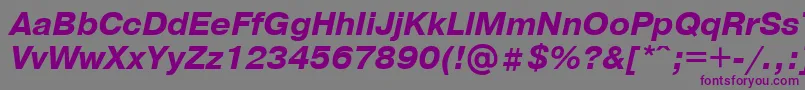 PragmaticaBolditalicCyrillic Font – Purple Fonts on Gray Background