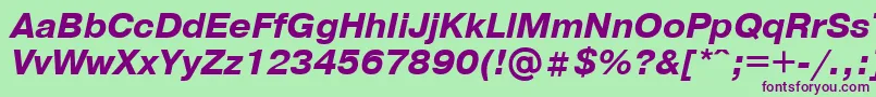 PragmaticaBolditalicCyrillic Font – Purple Fonts on Green Background
