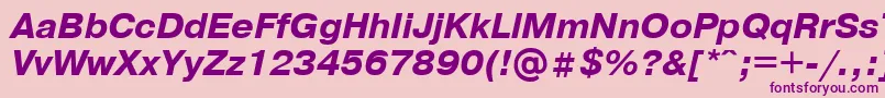 PragmaticaBolditalicCyrillic Font – Purple Fonts on Pink Background