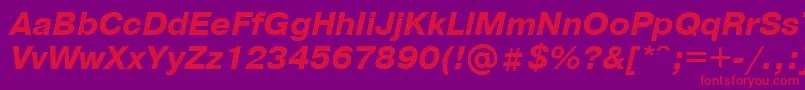 PragmaticaBolditalicCyrillic-Schriftart – Rote Schriften auf violettem Hintergrund