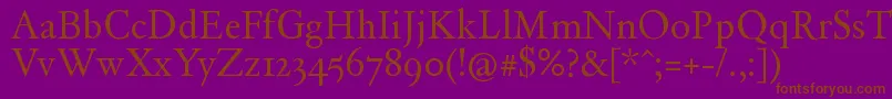 Dayrom Font – Brown Fonts on Purple Background