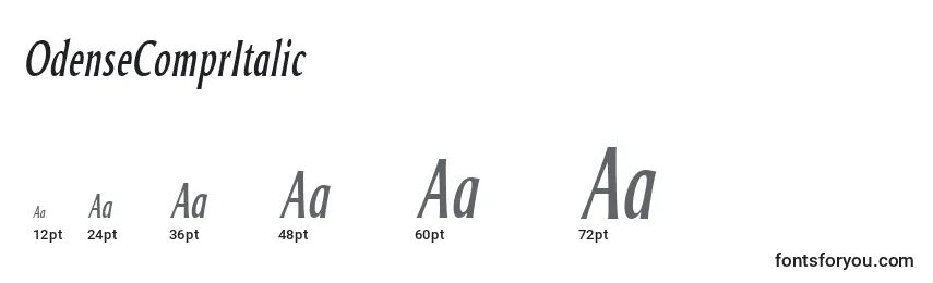 OdenseComprItalic Font Sizes