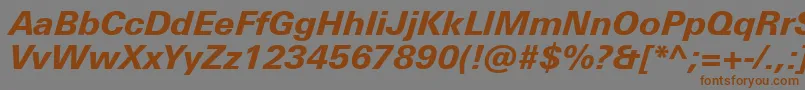 UniversNextProHeavyItalic-fontti – ruskeat fontit harmaalla taustalla