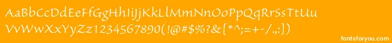 SanvitoproLtcapt Font – White Fonts on Orange Background