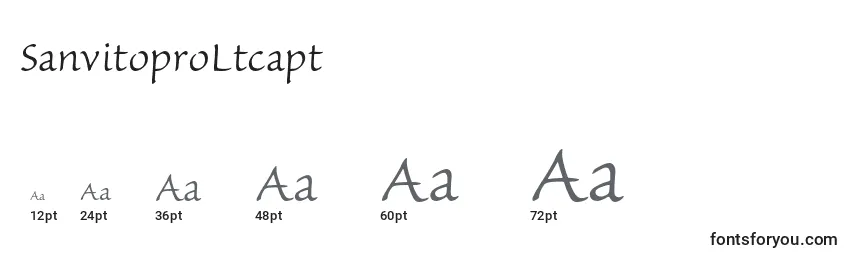 SanvitoproLtcapt Font Sizes