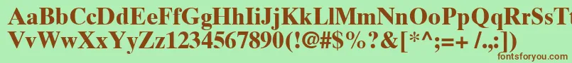 TimesTenCyrillicBold Font – Brown Fonts on Green Background