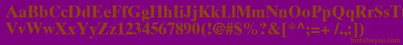 TimesTenCyrillicBold Font – Brown Fonts on Purple Background