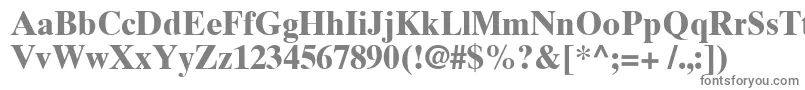 TimesTenCyrillicBold-fontti – harmaat kirjasimet valkoisella taustalla