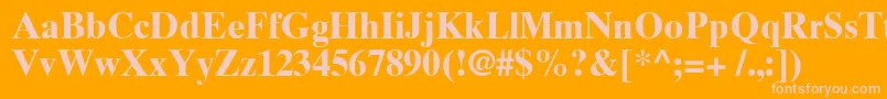TimesTenCyrillicBold Font – Pink Fonts on Orange Background