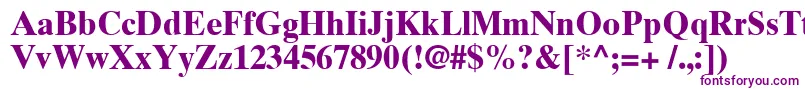 TimesTenCyrillicBold Font – Purple Fonts on White Background