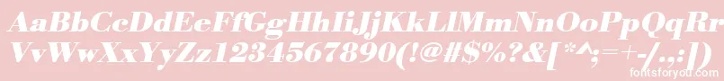 UrwbodonitwidBoldOblique Font – White Fonts on Pink Background